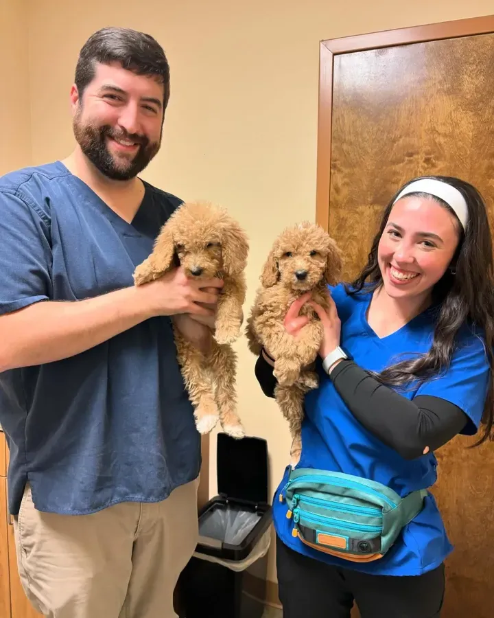 Mary, owner of Shalom Goldendoodles, holding a puppy